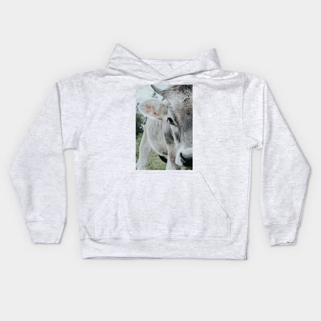 Cow close-up Kids Hoodie by Melissa Peltenburg Travel Photography